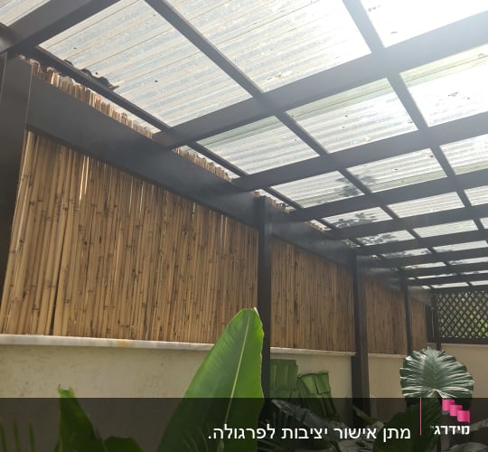 גג פלסטיק שקוף עם קורות עץ וקיר במבוק